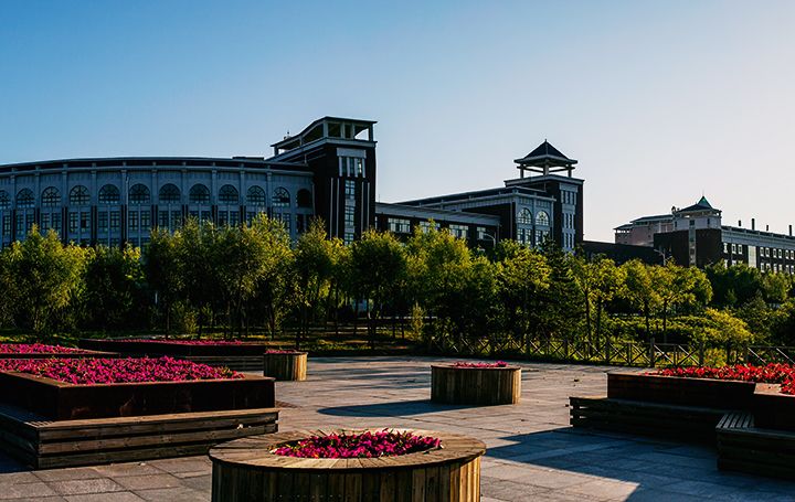 “職業(yè)學院全景圖”